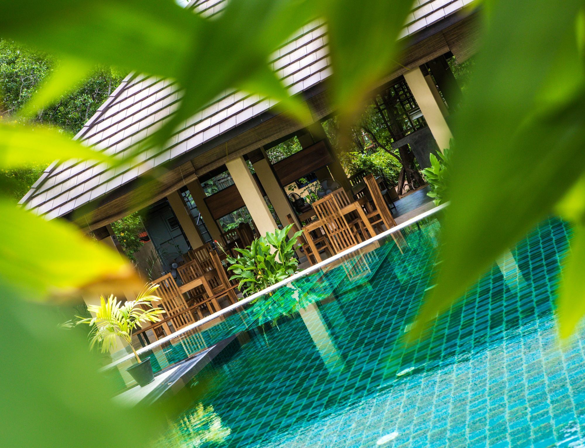 The Spice Trail Hotell Arugam Kudah Eksteriør bilde